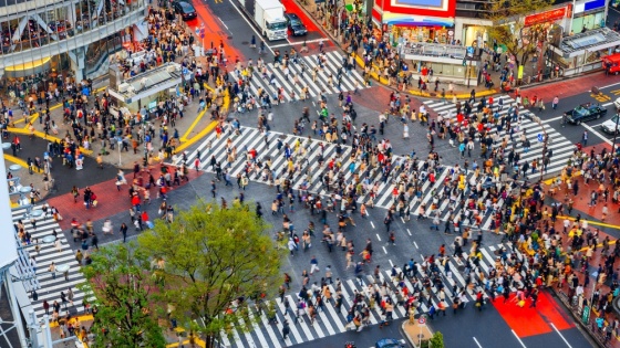 The Science Behind Motion Detection and Its Use in Scene Analysis