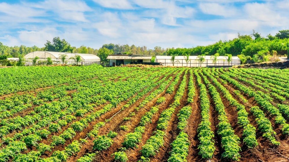 Why Do Farms Need Full-Color Night Vision