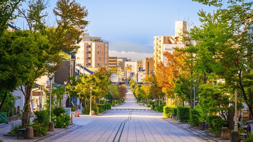 How can businesses use PTZ cameras to monitor vast areas without sacrificing image quality or detail