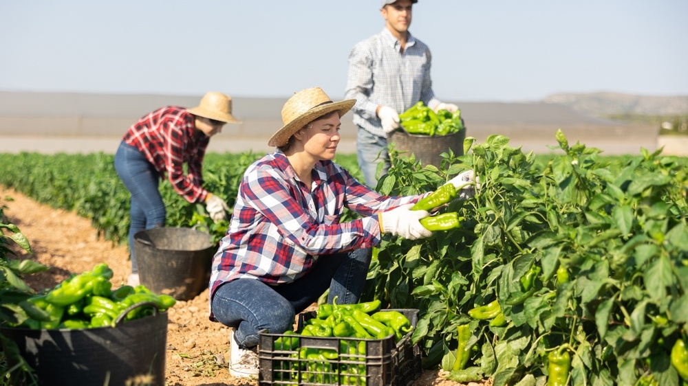 Why Modern Farms Need UNV AI-Powered Ultimate Night Security Solutions